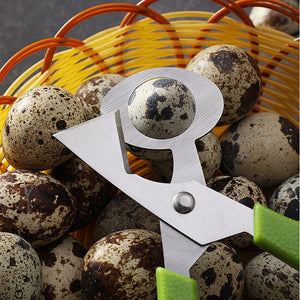 1Pcs Safe Durable Pigeon Quail Egg Scissor Bird Cutter Opener Egg Slicers Kitchen Housewife Tool Clipper Accessories Gadgets Hot