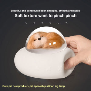Cute Cartoon LED Night Light Cat Spaceship Pet Colors Light Lamp Soft Silicone Bedroom Nightlight For Children Baby Kids Toy