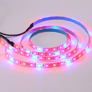 Plant Grow Lights Full Spectrum LED Strip Flower Phyto Lamp Waterproof Red Blue 3:1 For Greenhouse Hydroponic Home