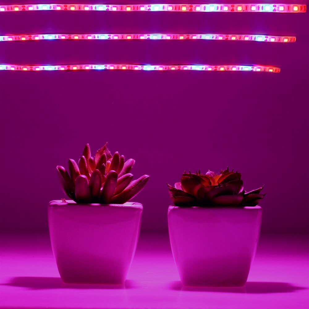 Plant Grow Lights Full Spectrum LED Strip Flower Phyto Lamp Waterproof Red Blue 3:1 For Greenhouse Hydroponic Home